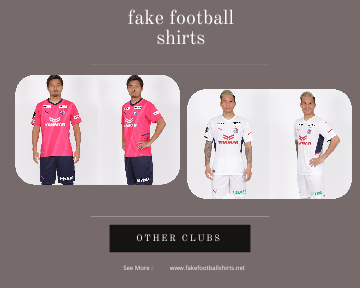 fake Cerezo Osaka football shirts 23-24